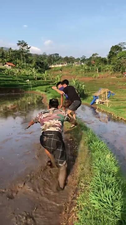 di marahin sama yang punya sawah auto nyungseb😱😱 #virall  #funny
