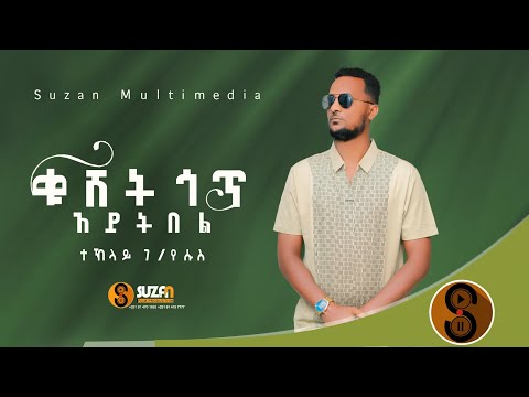 Teklay G/yesus "ቁሸት ጎጥ ኣይትበል " ተ./ጋ ተኽላይ ገ/የሱስ ሓዱሽ ትግርኛ ደርፊ 2017 New Tigrigna Traditiona Music 2025