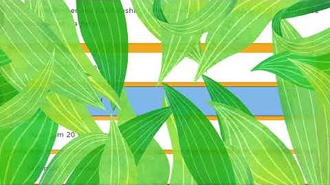 COVID 19 RESPONSIVE BEHAVIOUR QUIZ ANSWERS - 2021