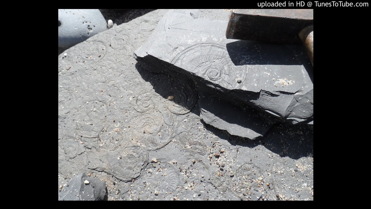 Eternal Void-After Death