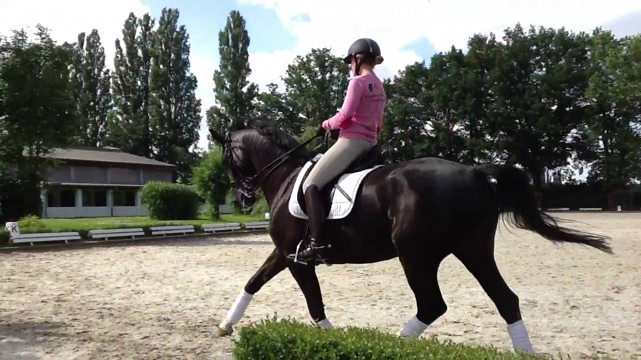 trim ABA0EED8 963B 437C AE58 DD5B694CC2CD