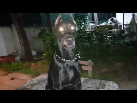 Achill'den Takipçilerine Sevgiler