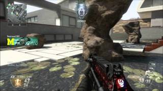 How The Average Guy Plays Black Ops 2, On RAID!