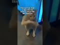 I M Sure There Won T Even Be 1K Likes🥲 виденемое Р Р Р РµС РёРїР Р РєС РёРІ Р СЋР Р СЋРІР СЃ Gacha Funny Youtube I M Sure There Won T Even Be 1K Likes🥲 виденемое Р Р Р РµС РёРїР Р РєС РёРІ Р СЋР Р СЋРІР СЃ Gacha Funny Youtube