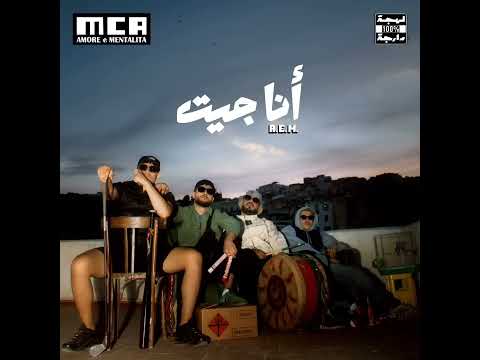      حب و عقلية يا ريتك