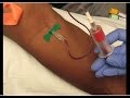 Mastering Phlebotomy Techniques and Best Practices
