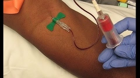 Phlebotomy Procedure: Venipuncture with 21G Butterfly #education #phlebotomy #tutorials