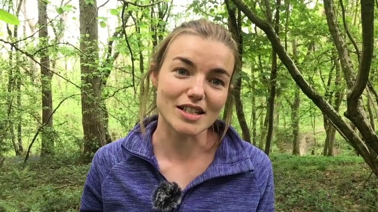 Wild Weekends: Tiny Forests