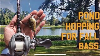 Keeping It Simple Will Catch You More Fish From The Bank(FLORIDA BANK FISHING)