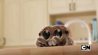 Lucas The Spider Nooooooooooo
