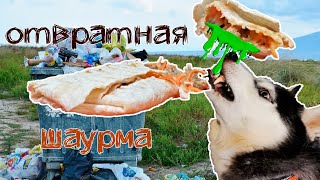 САМАЯ УЖАСНАЯ ШАУРМА/ИЗ БЫЧЬИХ ЯИЦ, МОЗГОВ, И ПРОЧИХ СЛАДОСТЕЙ