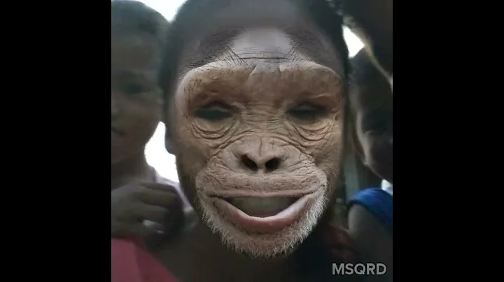 Im a doggy