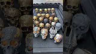#skull #skullrings #skulljewelry #skullart #deathsaves