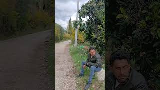 Yaşlı Teyzeyi Ayı Yicek