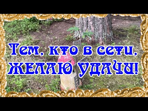 Доброе утро! Тем, кто в сети, желаю удачи!