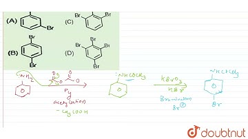 The product(s) of the following reactions sequence is(are)  | 11 | AROMATIC COMPOUNDS  | CHEMIST...