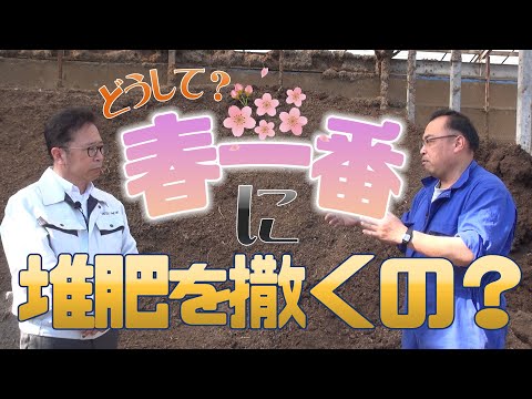 【春に堆肥撒き？】なんで春一番に堆肥を撒くの？その理由と効果について聞いてみた【DNW240】