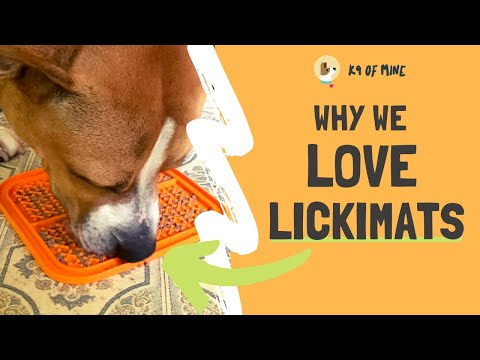 LickiMats for Dogs [2024 Review & Hands-On Demo]: A Real Lifesaver!