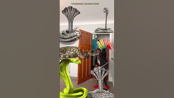 Animal funny video Anaconda snake python in my house in real life #realfools bhoot wala p2 #shorts
