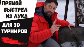 ПРЯМОЙ ВЫСТРЕЛ из блочного лука для 3D турниров