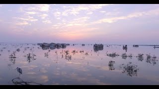 Exploring the Serenity of Manchar Lake | Dil Se Pakistan Travelogue by Black Box Sounds