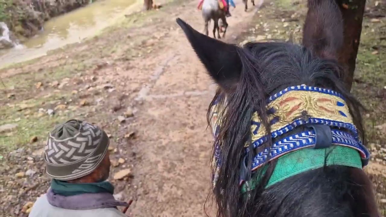 اول مرا اركب علا لحصان 😆 كان غادي الوحني في لواد