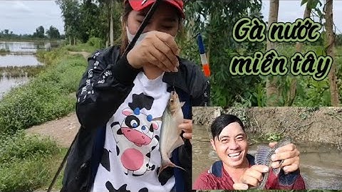 Đi câu cá tra sông và trải nghiệm mò hang bất gà nước miền Tây | Thạch Sanh Vlog