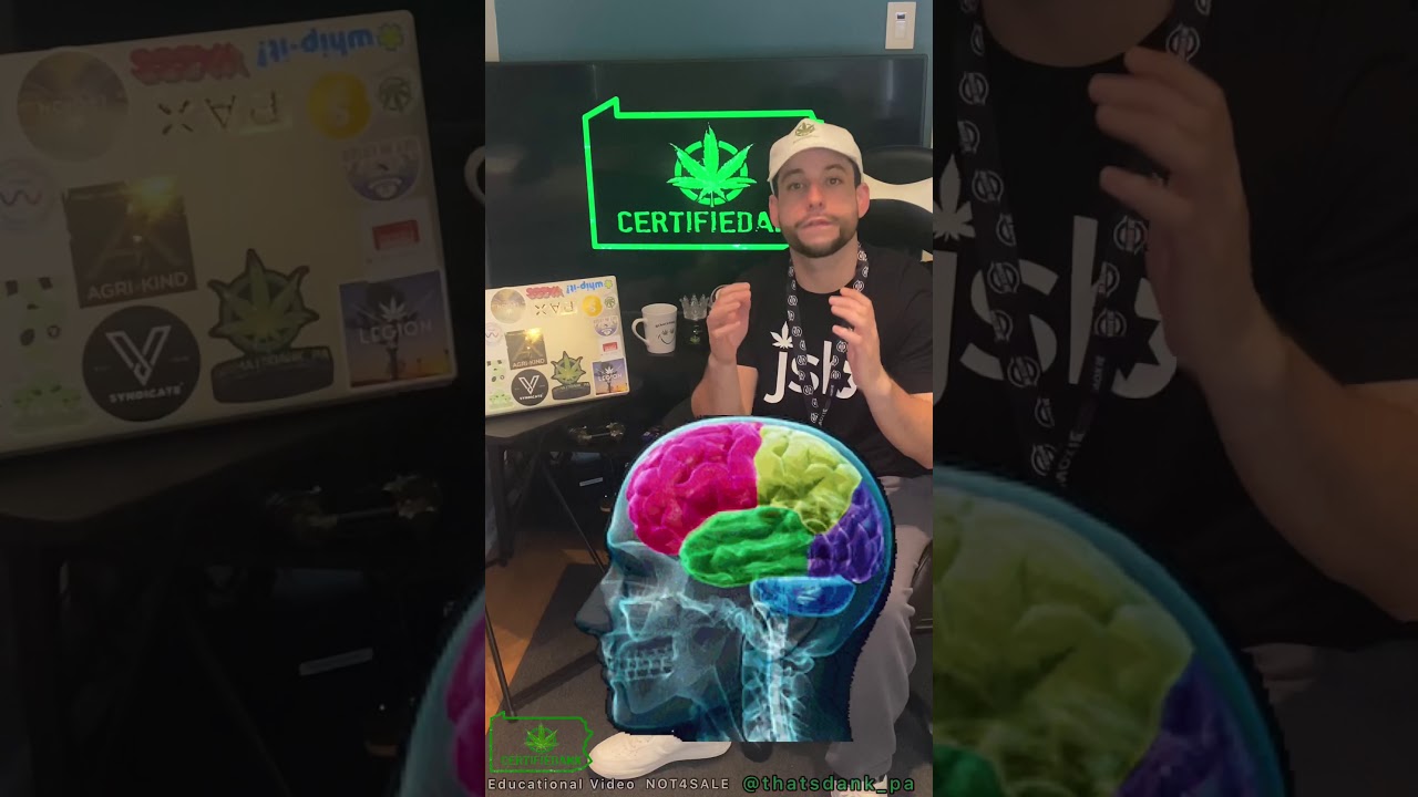 EP15 : Moxie flower (PA MMJ Reviews)