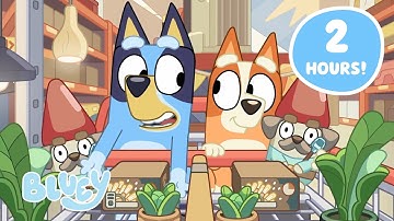 2 HOURS of Bluey Learning Moments with Family and Friends 💙 ⭐️ | Bluey Compilation | Bluey