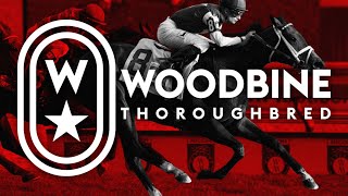 Woodbine, Tbred, April 27, 2024 Race 5 | Woodbine Horse Race Replay