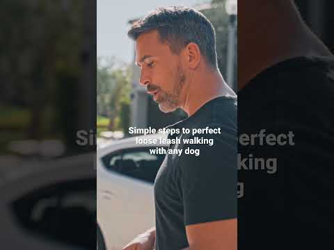 Video: 3 būdai pasirinkti Shiba Inu šuniuką