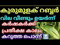 കുരുമുളക് റെക്കോർഡ് വില |#pepper #rubber #coconut #arecanut ഇന്നത്തെ കമ്പോള വില നിലവാരം | Malayalam