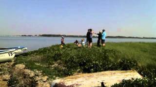 Picnic on Long Island, Langstone Harbour