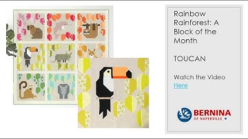Rainbow Rainforest Block of the Month: Toucan