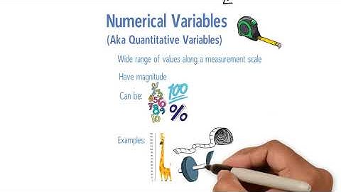6. Numerical vs. categorical data