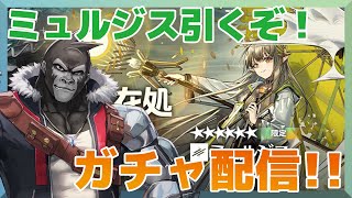 【アークナイツ/孤星】ミュルジス引いてく！【Vtuber/グレイ・アダムス】