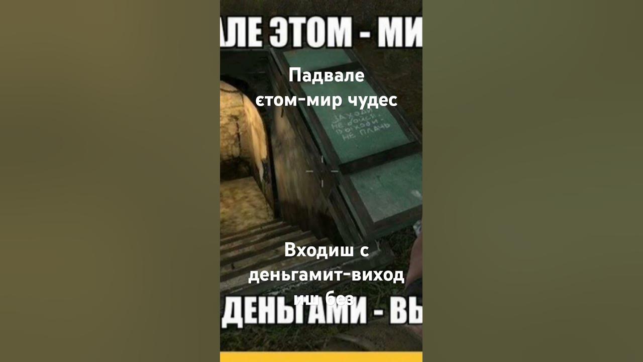 сталкер меми 15 - YouTube
