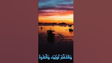 سورة المائدة و..كا.نك تسمعها لأ.و.ل مر.ة 💜💝...💮.💓🌸بصوت الشيخ حمزة مد.بو.ح 🏵️. 💘. 💐. 💗🌼