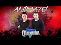 02- Amor De Su Cama  // Q'Lokura [Animate]