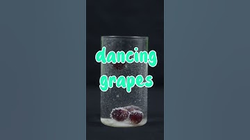 Dancing grapes || Experimental || Infinite Engineers