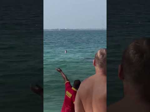 Shark Goes After Swimmers 🌊🏊🦈😱 #SHORTS