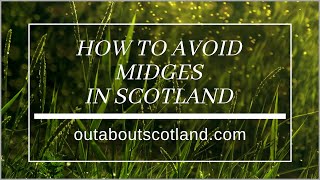 How to Avoid Midges in Scotland screenshot 1