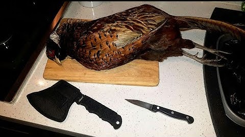 Game Preparation ( Pheasant )