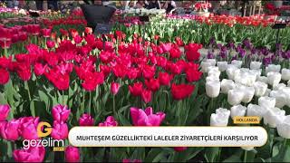 Dünyanın en büyük çiçek bahçesi Keukenhof kapılarını açtı