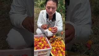 Agriculture Village Fresh Fruit #Viral #Fruit #Shorts #1042