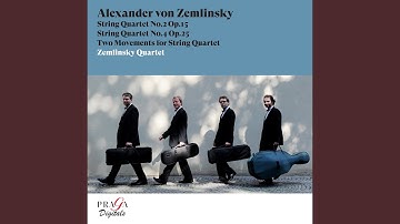 String Quartet No. 2, Op. 15: IV. Andante - Mit energischer Entschlossenheit