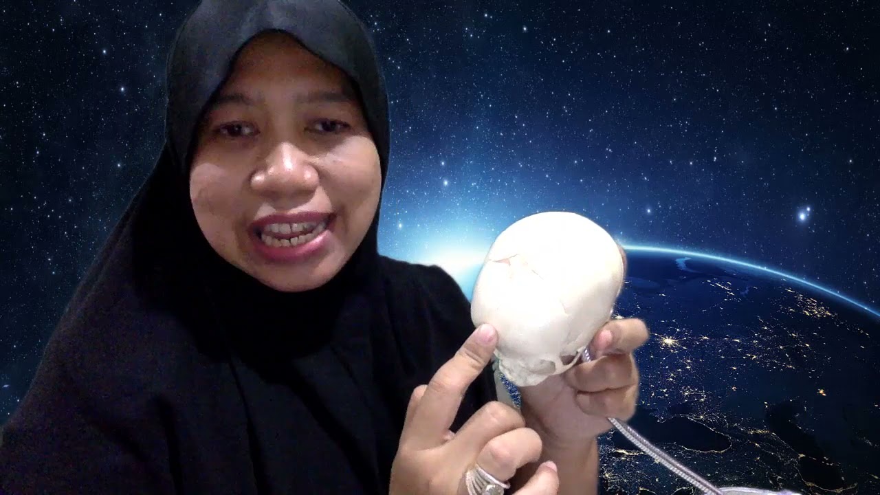 Belajar Mudah Anatomi Kepala Bayi