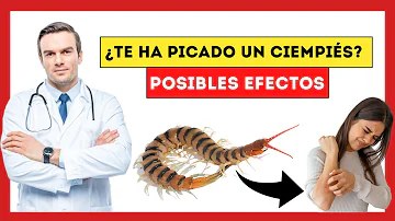 ¿Qué pasa si aplastas un ciempiés?