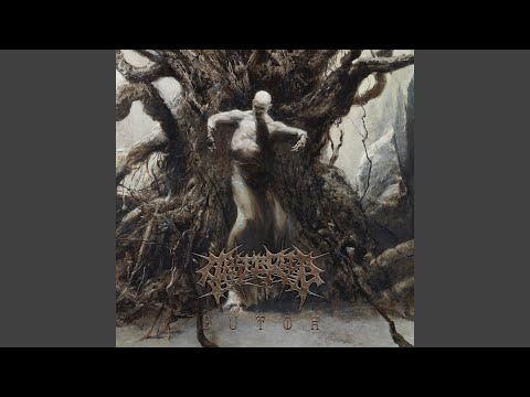 Arsebreed — Obliteration