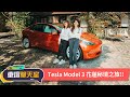 開Tesla Model3去露營！探訪全球十大最美民宿！ft.梯田山民宿｜8891汽車